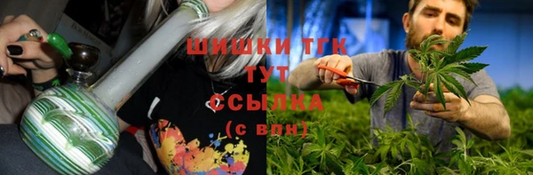 сатива Алзамай