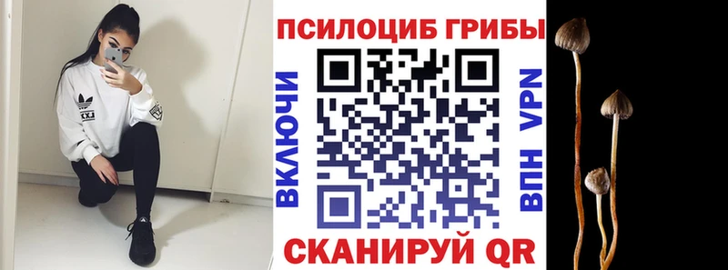 даркнет сайт  Лесосибирск  Псилоцибиновые грибы MAGIC MUSHROOMS 